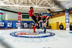 В Новомосковске проходят чемпионат и первенство региона по ММА.
