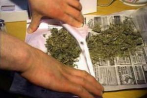 В Тульской области за сутки полицейские пресекли три преступления с незаконным оборотом наркотиков .
