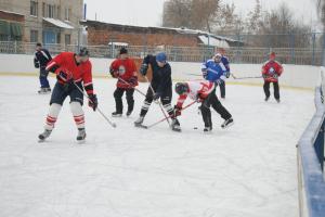 Туляки отметят Всероссийский день хоккея .