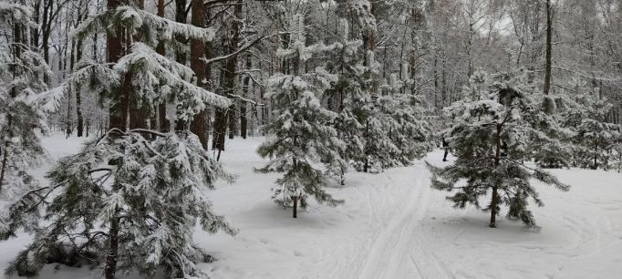 5 января в Туле ожидается оттепель и снегопад 