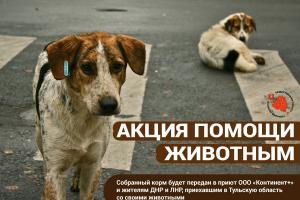 Туляки смогут помочь животным, приехавшим с хозяевами из ДНР и ЛНР.