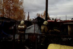 Под Новомосковском пожарные не дали сгореть сараю.