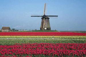 Нидерландские инвесторы заинтересованы в Тульской области .