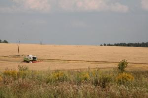 В Тульской области намолотили уже 800 тысяч тонн зерна.