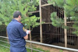 Зоопарк, в котором медведь напал на маму и дочь, работал незаконно .