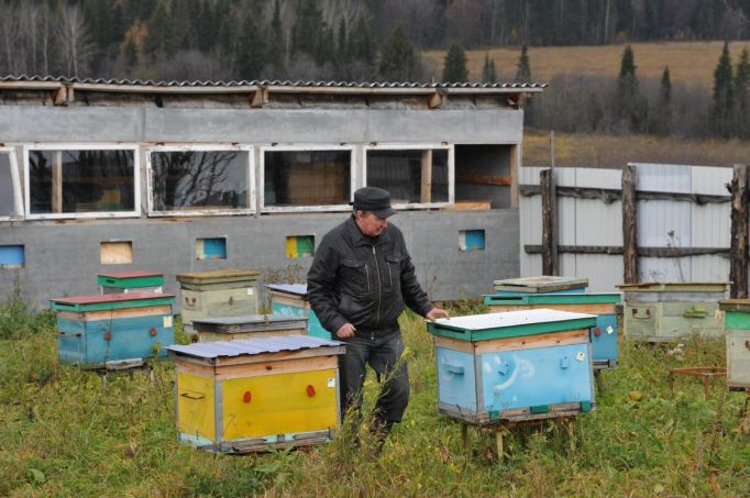 Вниманию пчеловодов