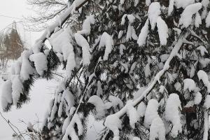 27 декабря в Туле снежно и 0 градусов.