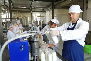 Объем реализации молока в сельскохозяйственных организациях России вырос на 4,9%.