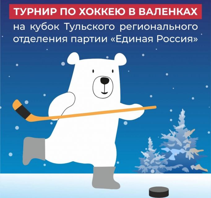 Николай Воробьев: При поддержке «Единой России» в Туле пройдет турнир по хоккею