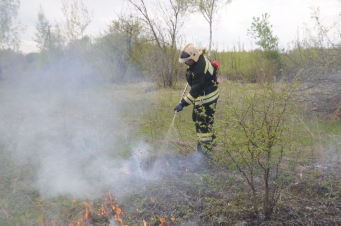Еще 8 пожаров случилось в Тульской области за сутки
