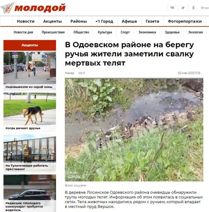 В соцсетях обсуждают свалку мертвых телят в Одоевском районе 