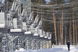 В Тульской области из-за снегопада из строя вышли 7 линий электропередачи.