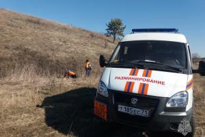 Спасатели в Тульской области обезвредили гранату Ф-1.