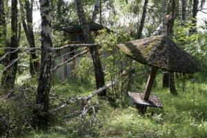 В Тульской области отремонтируют 7 детских лагерей и санаторий.