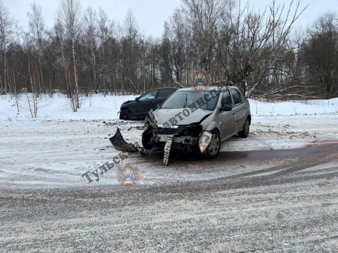 В Щекинском районе два водителя пострадали в ДТП на встречной полосе