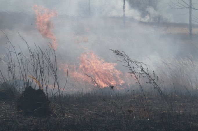В Тульской области скоро начнется пожароопасный сезон