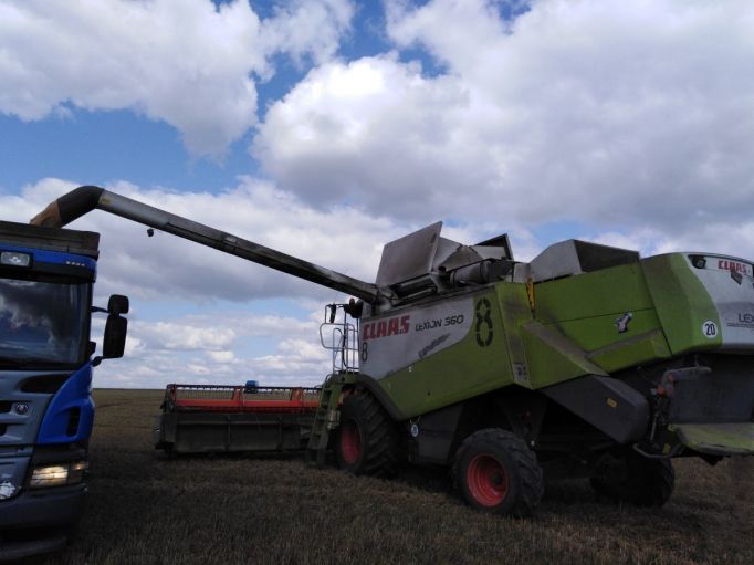 Совокупный объем поддержки производителей зерновых по итогам года составит 30 млрд рублей