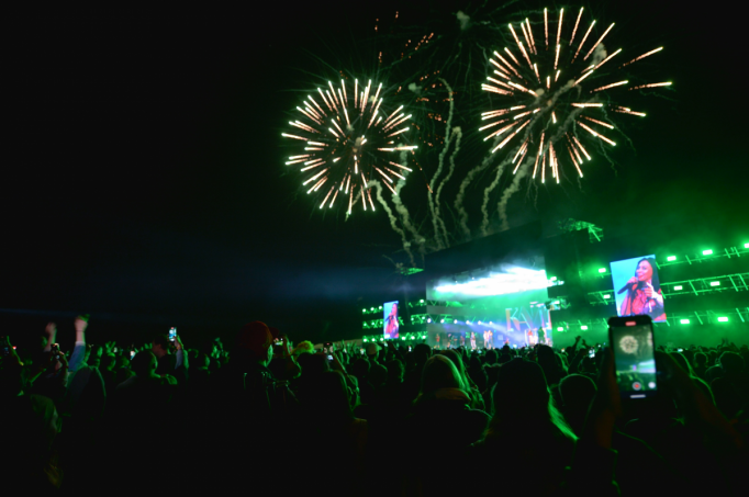 Более 70 концертов пройдет в финале фестиваля «Дикая Мята»