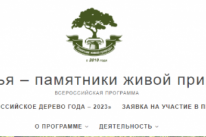 Прием заявок на участие в конкурсе «Дерево года – 2023» продлится до 15 апреля .