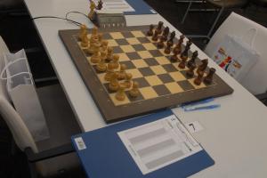 В Тульской области проходит шахматный турнир памяти Льва Толстого .