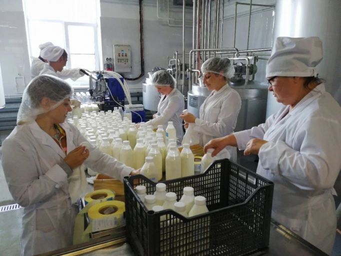 На 5,4% вырос объем реализации молока в сельхозорганизациях России