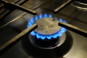 Более 3300 жителей Тульской области за год были отключены от газоснабжения за нарушения Правил пользования газом.