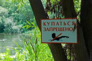 Марьясова – узловским чиновникам: Вы вынуждаете население купаться в запрещенных местах.