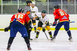 В Тульской области проходит Кубок федерации по хоккею среди любительских команд.