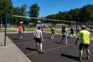 В Туле стартуют бесплатные тренировки по волейболу .