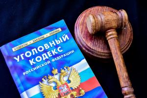 В Туле суд приговорил москвича к 5,5 годам колонии за незаконный вывод почти 500 млн рублей.