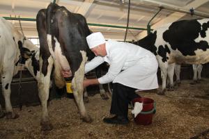 В Тульской области молока и "работающих" земель станет больше.