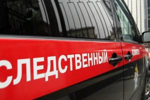 Следственный комитет: Погибший в аварии с дельтапланом в Ясногорском районе - местный житель .