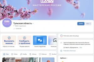 1325 страниц госорганизаций Тульской области зарегистрировано «ВКонтакте».