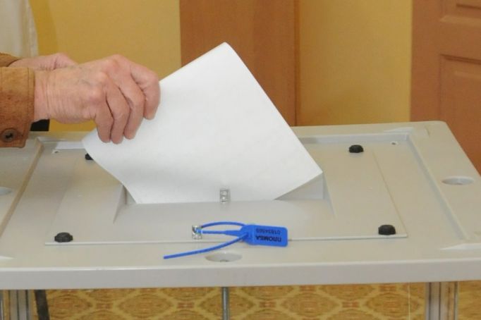Более половины опрошенных туляков считают удобным дистанционное электронное голосование