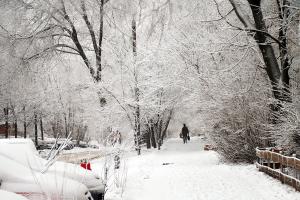 17 декабря Тулу накроют снег с дождем.