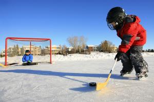 «Коньки» и «валенки»: в Туле объявлены хоккейные состязания среди детских дворовых команд.