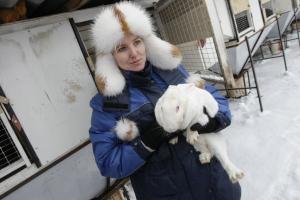 В Одоевском районе будут разводить кроликов.