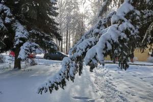 Снегопад обещают синоптики тулякам 4 января.