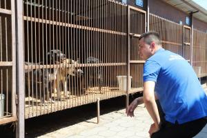 Тульские единороссы привезли помощь для бездомных животных.