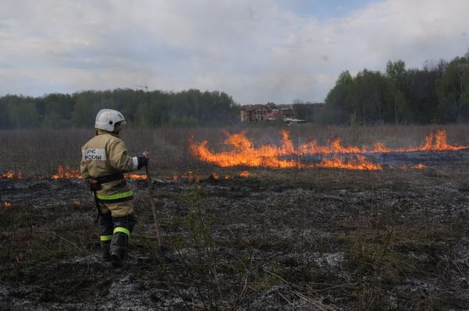 Туляков предостерегают от разведения огня в лесах