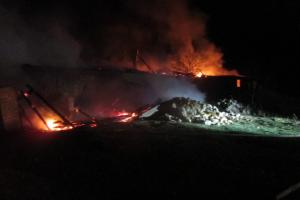 В деревне Узловского районе сгорели 3 дома: пострадавших нет.