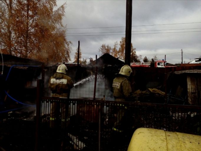 Под Новомосковском пожарные не дали сгореть сараю