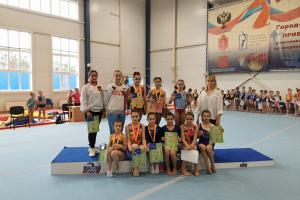 В Туле определены победители и призеры соревнований по спортивной гимнастике.