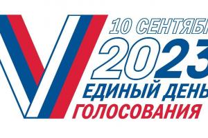 В Туле открылись 4 участка для выборов депутатов новых регионов РФ.