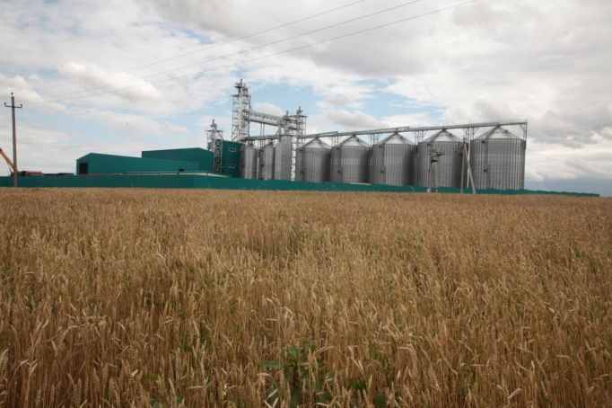 Ожидается, что в 2023-м объем зерна с учетом новых регионов составит порядка 123 млн т