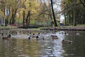 Оборудование, снабжающее пруды водой, заменили в Детском парке Новомосковска .
