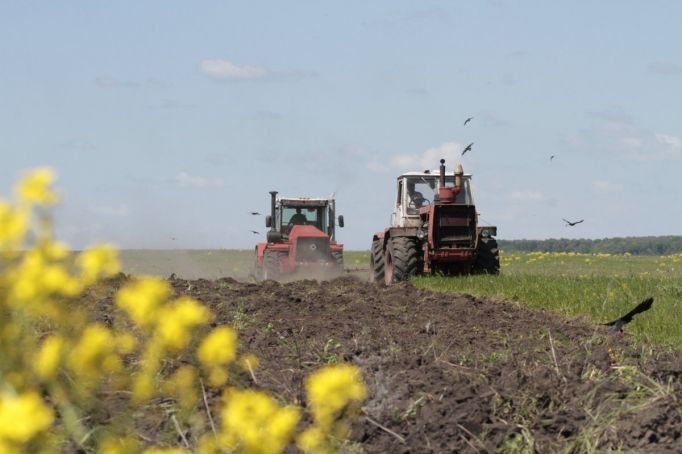 Минсельхоз РФ напомнил о мерах поддержки для фермеров