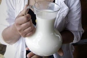 В 2014 году Тульская область планирует произвести 199,7 тыс. тонн молока.