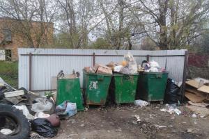 В Щекино хулиганы-вандалы повадились переворачивать мусорные контейнеры вверх дном .
