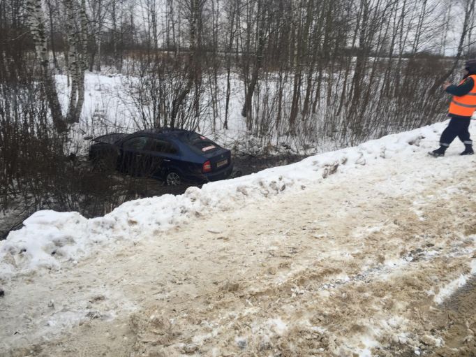 В Тульской области автоледи съехала в кювет, пострадал подросток 